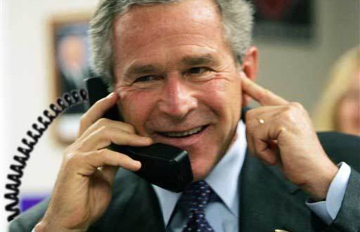 bush