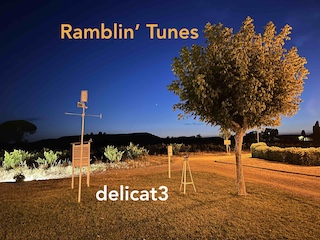 delicate3
