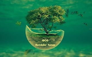 eco