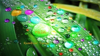 rain