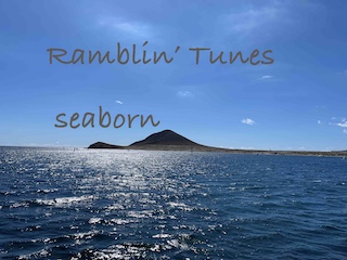 seaborn