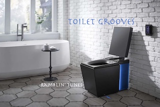 toilet grooves